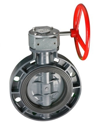 worm style butterfly valve