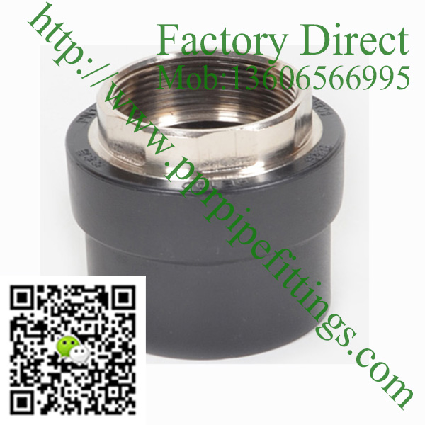 HDPE female brass socket